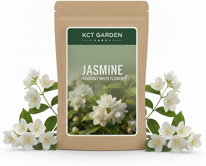 100+ Jasmine Seeds for Planting, for Patio Pots, Outdoor Beds, Raised Planters or Starter Trays, Fragrant Flower Project for Balcony, Border, Entryway, or Yard