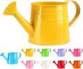 Metal Watering Can - 1L Vintage Sprinkling Can Plant Watering Can for Outdoor Indoor Plants, Tinplate Watering Kettle Gardening Tool, Galvanized Steel Watering Cans for Flowers (Yellow)