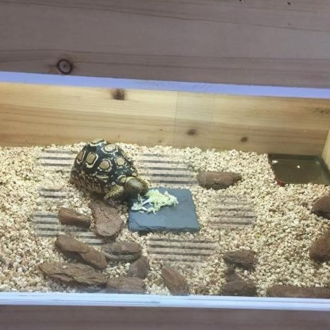 Reptile Heat Pad, Adjustable Temperature Control Lizard Terrarium Heating Mat for Small Animals Snake Turtle Bearded Dragon Gecko and Plant (15W)