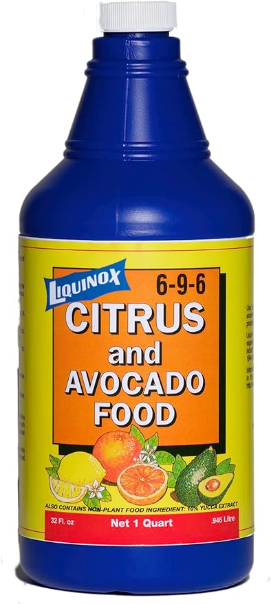 Citrus & Avocado Food 6-9-6 (1)