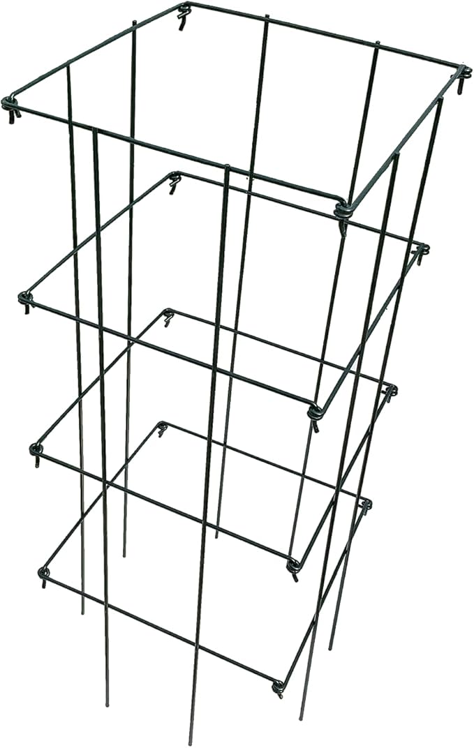 Ferry Morse Plant Cage - Folding Tomato Trellis Cage, Heavy Duty Support, 2 Pack - Steel, 16x16x39.5 in