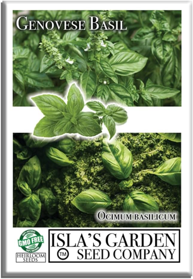 Genovese Sweet Basil Seeds for Planting (Ocimum basilicum) – 500+ Heirloom Non-GMO Herb Seeds by Isla’s Garden Seeds, Classic Italian Basil for Culinary Use, Fragrant & Fast-Growing, Gardening Gift