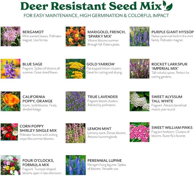 Grow Your Own Vibrant Annual and Perennial Wildflower Garden Seed Mixture, Varieties for Pollinators and Spring Gardens - Deer Resistant Mix, 10 lbs