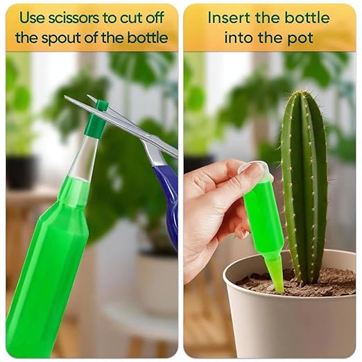 Cactus & Succulent Plant Food | Concentrated Nutrient Solution for Indoor & Outdoor Plants | Made in USA | Promotes Growth & Blooms