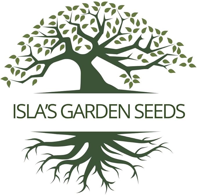 Burpee Stringless Green Bean Seeds (Phaseolus vulgaris) – 50+ Non-GMO Heirloom Seeds by Isla’s Garden Seeds, Crisp Tender Pods with No Strings, Easy to Grow for Raised Beds & Summer Harvests