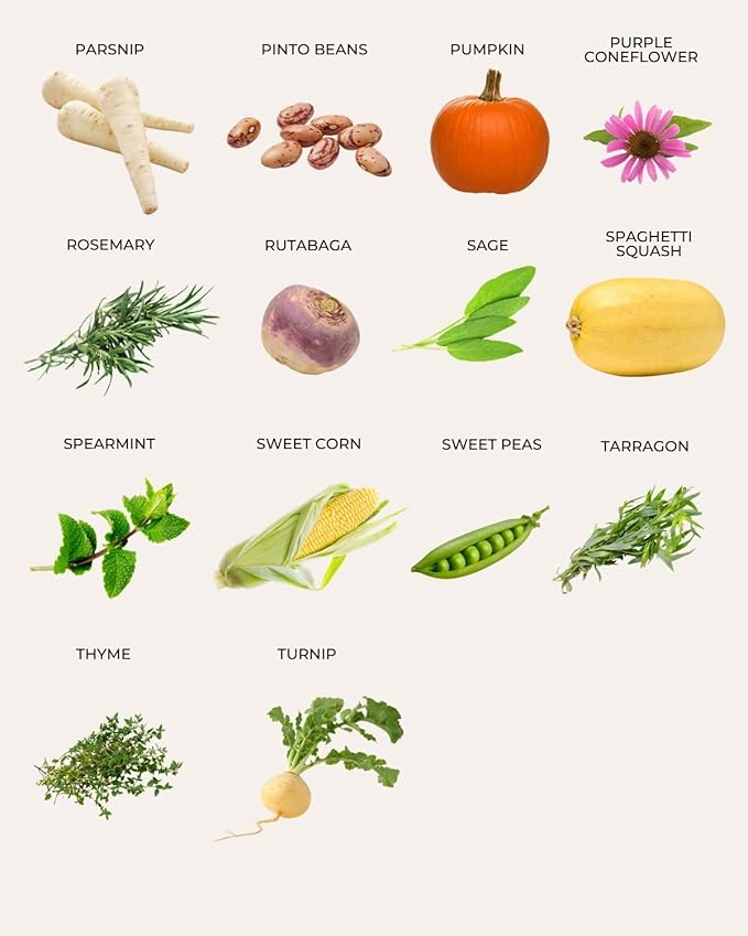 Tactiko Survival 30 Calorie-Dense Veggies & Popular Herbs - Ultimate Energy Seed Kit - USA-Grown Non-GMO Heirloom Seeds - Mylar-Bag for Long-Term Storage, Emergency Food Supply Gardening