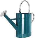 1 Gallon Metal Watering Can with Removable Spout, Nice Galvanized Steel Water Can with Embossed Design for Indoor and Outdoor Plants (Ocean Blue)
