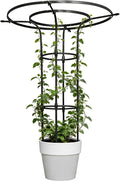 Garden Trellis for Climbing Plants Outdoor,43 Inch Umbrella Trellis for Potted Plants,Plant Trellis Support for Potted Plants Climbing Vine Rose Clematis Vegetable Trellis