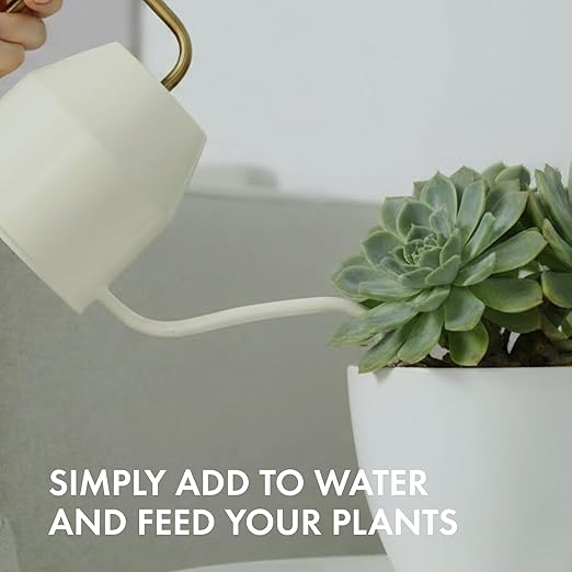 Succulent Plant Food – Gentle Liquid Fertilizer for Succulents & Cactus, 8 oz