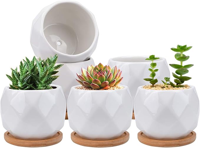 Jucoan 6 Pack Ceramic Succulent Planter Pot with Bamboo Tray, 4 Inch Small White Diamond Shaped Cactus Herb Flowers Planter with Drainage Hole for Indoor Home Office Decor