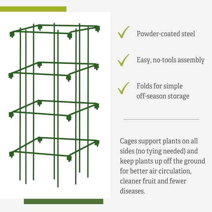 Gardeners Supply Company Pepper and Eggplant Cages Plant Stand | Heavy Gauge Sturdy Garden Plants Support for Eggplants Peppers and Other Climbing Plants | No Assembly Needed | Green 24"H (Set of 3)