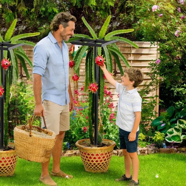 1 Pcs Dragon Fruit Trellis for Climbing Plants, Adjustable Metal Plant Trellis, Outdoor & Indoor Garden Trellis for Potted Plants, Vertical Support for Dragon Fruit, Cactus - Easy Assembly (1 Pack)