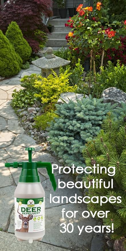 Deer Repellent - Bobbex | Ready-to-Use Deer Deterrent Spray (48 oz.)