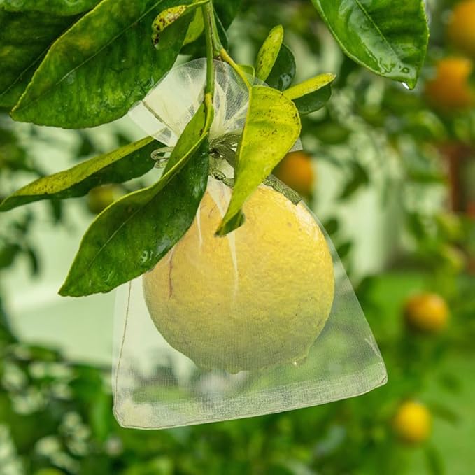 SUPVOX Fruit Protection Bags Mesh Netting with Drawstring 50 Pcs Reusable Organza Garden Bags for Oranges Mangoes Outdoor Fruit Tree Protection