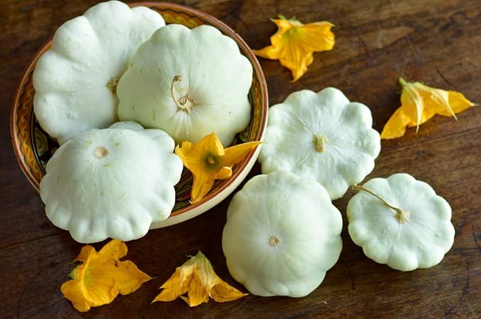 Seeds Vegetable White Patty Pan Squash Scallop Zucchini - 30 Seeds