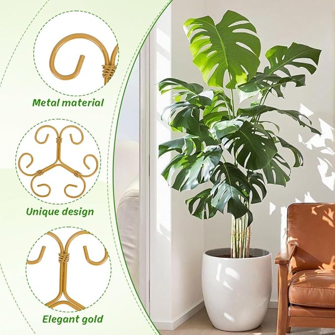 Iron Monstera Support, 4 PCS Plant Stem Support Plant Support Stakes for Indoor Plants and Flowers Stable Plant Stakes and Supports Turtle Shell Bamboo Clamp Set for Thriving Growth