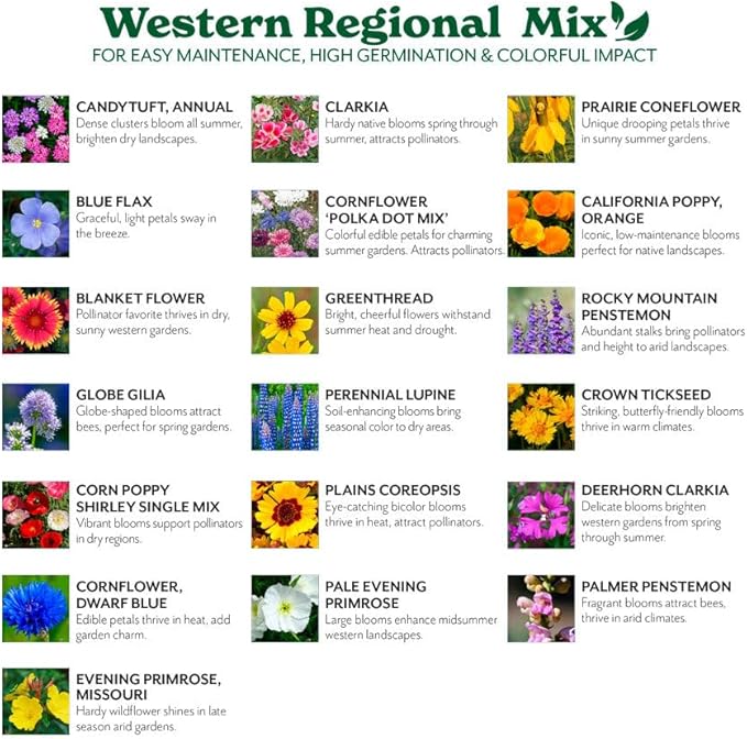 Grow Your Own Vibrant Annual and Perennial Wildflower Garden Seeds Mixture, Varieties for Pollinators and Spring Gardens - Western Regional Mix, 10 lbs