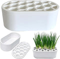 3D Printed Green Onion Planter Trays | Plant Propagation and Seedling Starter Trays for Indoor Gardening | Reusable Nursery Pots for Home, Office, Dorm (White)