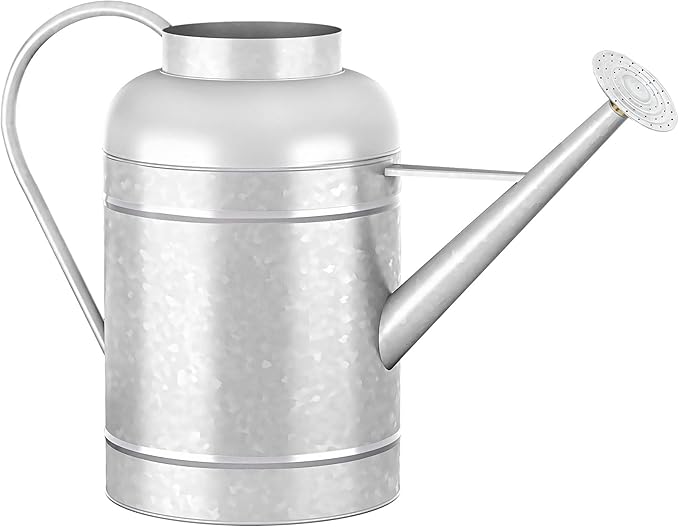 2.3 Gallon Bowl Decorative Countryside Style Water Can with Removable Spout, Galvanized Watering Can for Outdoor Indoor Plants, Metal Watering Can for Indoor Plants and Garden Flower