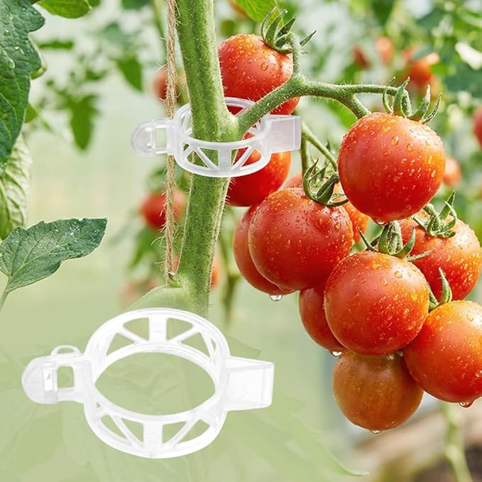 300Pcs Tomato Clips, 2026 New Plant Clips for Climbing Plants, Plant Support Clips, Grape Vine Tomato Vine Vegetables Plants Garden Support Clips to Grow Upright (100)