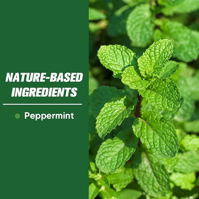 Pest Control Pouches, Mouse Repellent, Rodent Repellent Indoor, Mice Repellant, Peppermint to Repel Spider, Roach & Ant, Rat Deterrent for House, Keep Mice Away, Covers up to 120 sq ft-8P