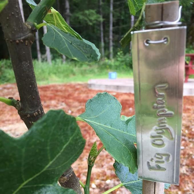Aluminum Plant Labels - 120PCS Metal Tags with Wires for Plant Markers, Tree Tags, Outdoor Identification and Greenhouse