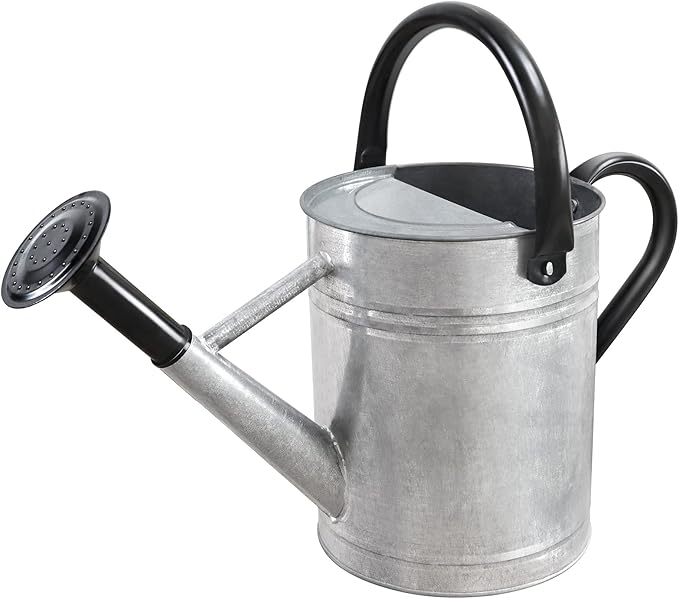 Metal Watering Can with Removable Spout, Galvanized Steel Plants Water Can for Women, Men and Kids' Outdoor or Indoor Gardening - Nice Flower Watering Pot Gift & Decoration (Zinc, 1 Gallon)