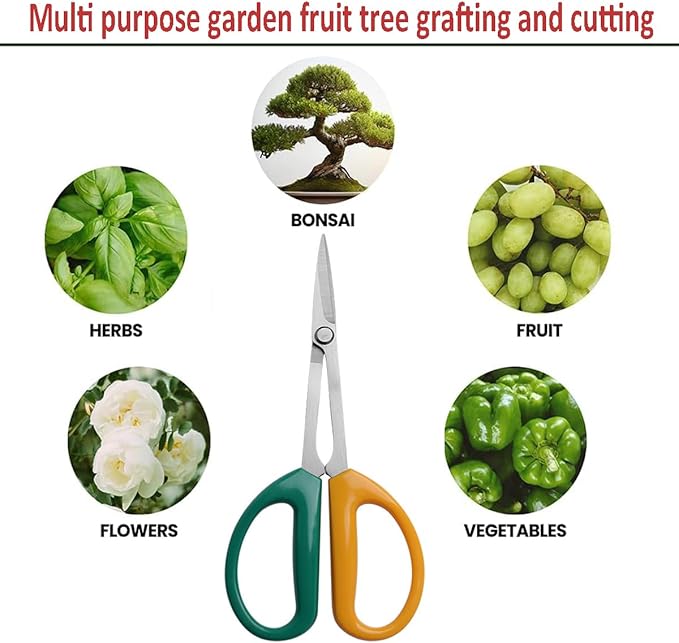 Garden Scissors, Stainless Steel Garden Bonsai Pruning Shears, Anti-Slip Softgrip SnipGardening Tools Garden Shears for Plants Herb (Modern)
