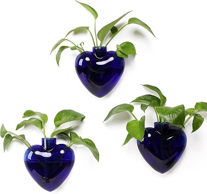 Wall Hanging Planter Propagation Station for Indoor Plants Glass Vase Air Plant Holder Gift for Women Girlfriend Plant Lover