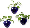 Wall Hanging Planter Propagation Station for Indoor Plants Glass Vase Air Plant Holder Gift for Women Girlfriend Plant Lover