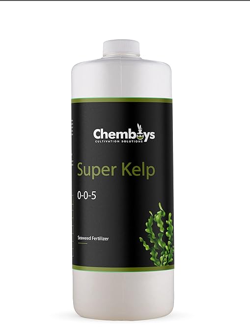 Chemboys Super Kelp Liquid Seaweed Fertilizer Seaweed Plant Food Supplement for Plant Growth, Bloom & Yield Boost Liquid Concentrate Garden Fertilizer - Half Gallon (64 fl oz)
