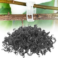 Garden Plant Clips, 2026 Secured Plastic Plant Clip Garden Clips for Climbing Plants Portable Tomato Clips for Climbing Plants, Plant Support Clip Tomato Grape Vine Plant Clips(Black 150Pcs)