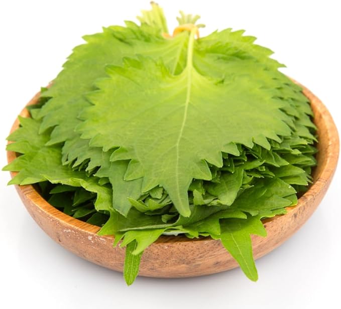 Shiso Seeds, Pack of 1500+ Perilla Seeds for Planting