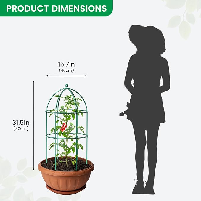 SUNYRISY 3 Pack Metal Plant Support Cage for Tomato Peony Cucumber, 31.5in H Garden Arch Obelisk Trellis for Climbing Plants Supports Outdoor for Vine Vegetables Flowers, Green