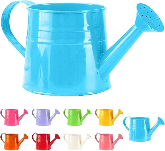 Watering Can, 1L Metal Flower Garden Watering Can, Lightweight Durable Decorative Gardening Tool for Outdoor Indoor Plants Lawn Garden (Blue)
