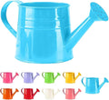 Watering Can, 1L Metal Flower Garden Watering Can, Lightweight Durable Decorative Gardening Tool for Outdoor Indoor Plants Lawn Garden (Blue)