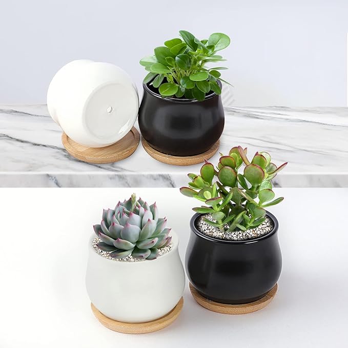SHECIPIN 2 Pack Succulent Pots, 2.5 Inch Mini Ceramic Pots for Flower or Cactus Plants with Drainage Hole,Plants Not Included (Black)