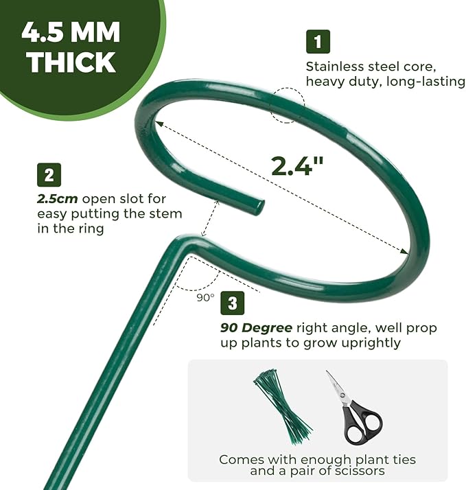 Kingsyard 16 Inch Plant Support Stakes - 10 Pack, 4.5mm Thick All Metal Garden Plant Stakes for Outdoor Plants Single Stem Flowers Dahlia Lily Rose Peony Hydrangea Tomatoes Sunflower Gladiolus