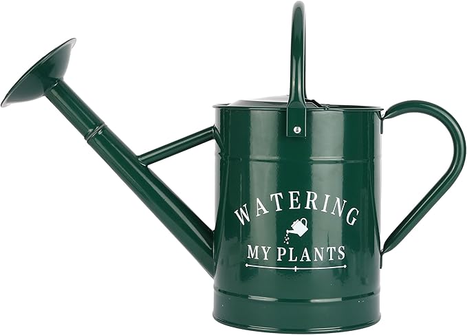 Galvanized Watering Can for Outdoor Indoor Plants, 1 Gallon Decorative Countryside Water Can with Removable Spout, Metal Watering Can for Indoor Plants and Garden Flower (Green)