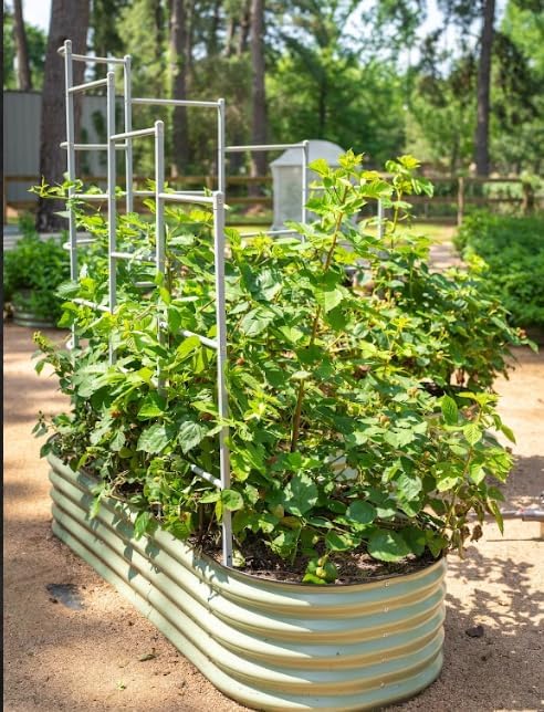 Vego Garden Modular Wall Trellis System, Five Section 6.5' Long for 2.0' x 6.5' (6 in 1) or 3.5' x 6.5' (9 in 1) Garden Beds