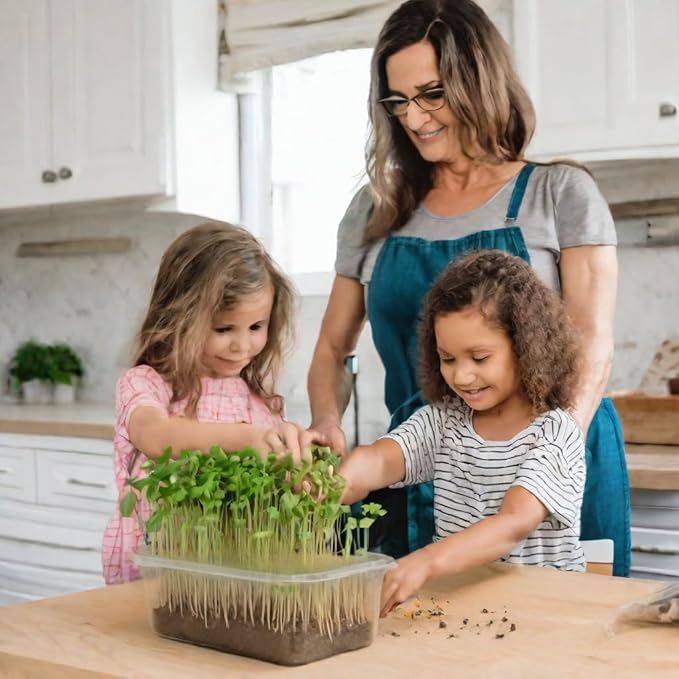 Todd’s Seeds - Alfalfa Sprouting Seeds - Easy to Grow Bulk Alfalfa - Fast Growing with High Sprout Germination (1/2 Pound)
