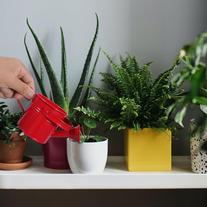 Kids Watering Can Metal Small Watering Can for Indoor Plants, Iron Mini Water Bottle for Garden Yarde Home Plants Flower Bonsai Pots (Red and Light, 2PCS)