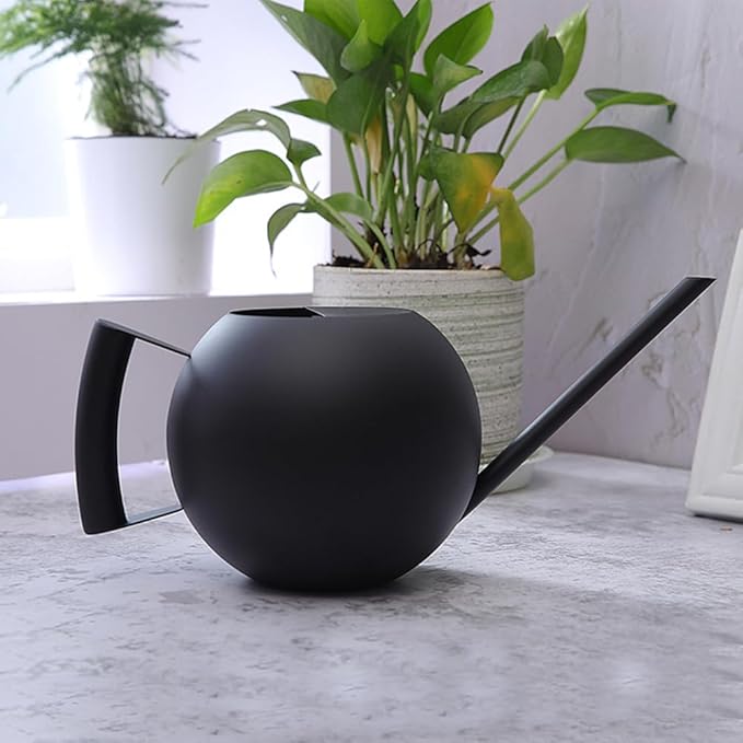 Watering Can with Long Spout and Comfortable Handle, 35 oz/1000ml Small Watering Can for Indoor Plants, Stainless Steel Garden Watering Pot for Indoor House Plants Bonsai Flower Decorative