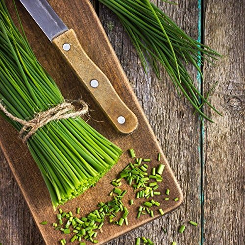 Gaea's Blessing Seeds - Chives Seeds - Non-GMO Seeds with Easy to Follow Planting Instructions - Open-Pollinated Heirloom 88% Germination Rate (Pack of 2)