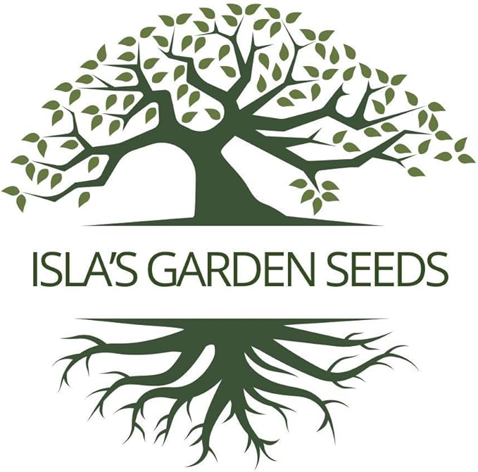 Greek Oregano Herb Seeds for Planting, 2500+ Seeds Per Packet, (Isla's Garden Seeds), Non GMO & Heirloom Seeds, Botanical Name: Origanum vulgare, Great Herb Garden Gift