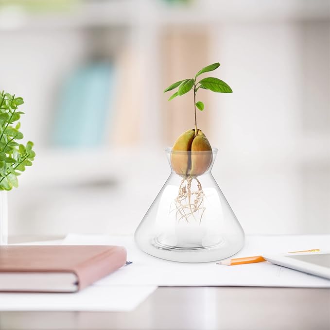 1 PCS Avocado Seed Starter Vases, Pit Planter Pot Avocado Tree Growing Kit Acorn Bulb Vase Grow Glass Blue Hydroponics Container for Gardening Lover