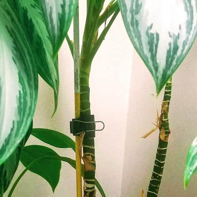 Reusable Greenhouse Clips Made in USA – Orchid Clips, Plant Support Clips & Cord Clips – Heavy-Duty, Weather-Resistant & Durable – Secure Stems, Vines, Wires, Cables, Tomato Plants – Indoor & Outdoor