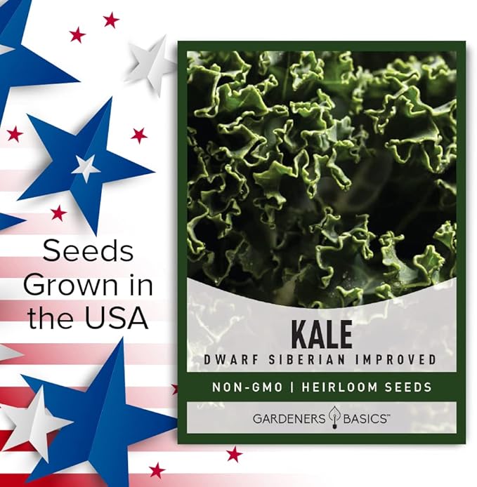 Gardeners Basics Kale Seeds for Planting, Heirloom, Non-GMO Vegetable Variety - Great for Indoor, Outdoor, and Hydroponics Gardening (Dwarf Siberian Improved)