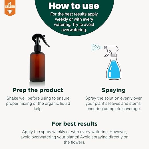 GARDENERA Professional Organic Liquid Kelp Spray for Olive Tree Plants - 8 oz - Ready-to-Use Fully Organic Seaweed & Kelp Fertilizer Mist