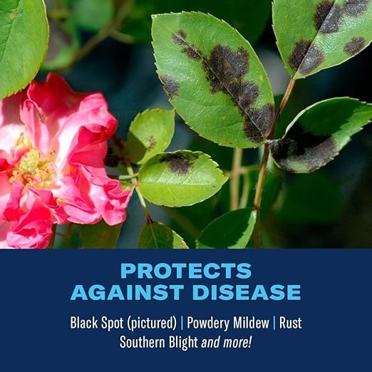 BioAdvanced All-In-One Rose and Flower Care Fertilizer, Granules, 4 lb, Rose Fertilizer and Disease Control